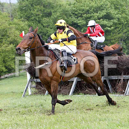 Kircassock Vic, 4th, Jockey D L Queally -FT8E2543-e