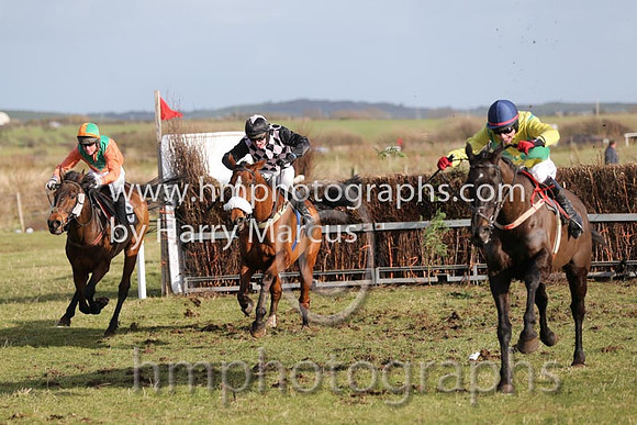 01 Mr Bolt  D H Lavery - Trainer : Sean McParlan, Black and tan check