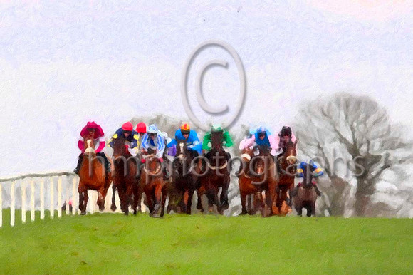 Seriatim (blue & white) & Mr C Cully - 3rd in the lead -- CU2D0038-e2-ar