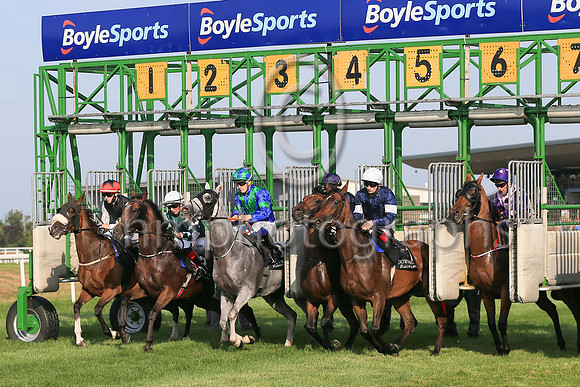 The start of Her Majesty's Plate (Listed Race) at Down ROyal on Friday 23rd July 2021