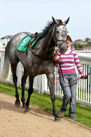 Minella Bliss Fell, Jockey P F Mangan - CU2D1720-e