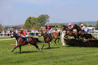 06th Mistamel and A Ring ( 2 , maroon, light blue spotted sleeves ) Trainer - G Elliott , Owner - Let It Rip Syndicate
