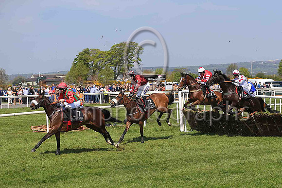 06th Mistamel and A Ring ( 2 , maroon, light blue spotted sleeves ) Trainer - G Elliott , Owner - Let It Rip Syndicate