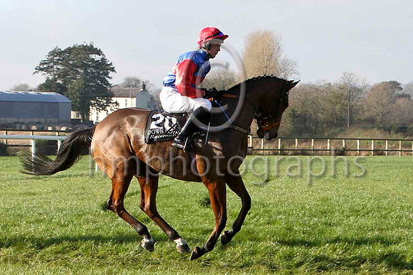 New Tactics - 12th , Jockey - Mr G B Watters - FT8E6858-e