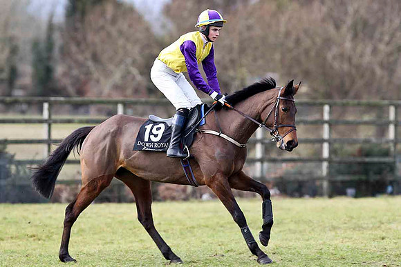 Sarahs Pet - 16th - Jockey P A O'Sullivan - CU2D3149-e