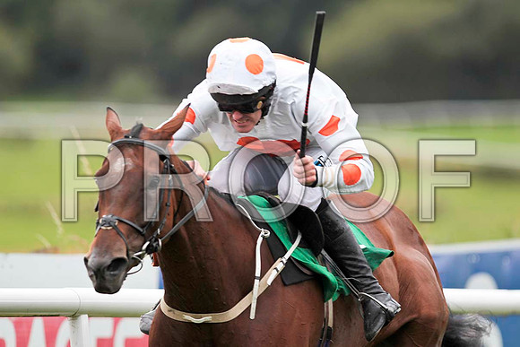 King'sandQueen's - 2nd , Jockey Andrew J McNamara  - CU2D9484-e