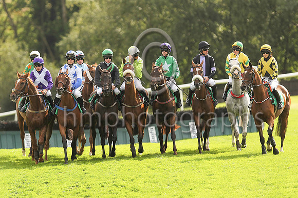 Lining up at the start of the Molson Coors Handicap Hurdle at Downpatrick Races