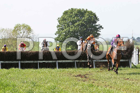 Third Race - Cilliseal (5) 4th, Rider M J O'Hare followed by Se Beag (2nd) , Rider C M Greene - CU2D9576-e