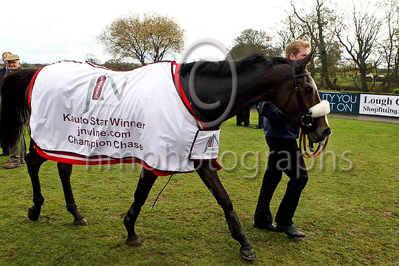 Kauto Star - FT8E4775-e