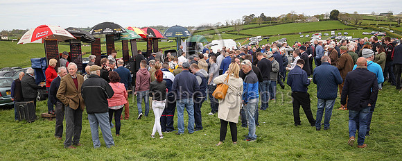 Point to Point Racing at The Newry Hunt at Taylorstown