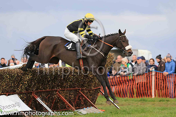02nd SUN SPIDER and R O Harding ( 4 , BLACK,yellow braces; black  yellow hooped sleeves; yellow cap ) Trainer: John Joseph Hanlon,, Owner : Rachel O'Neill