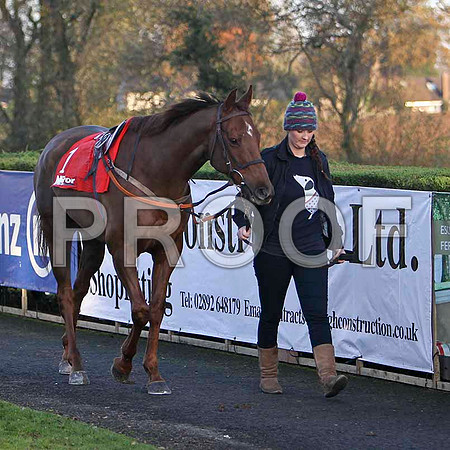 Ask The Farmer - 12th , Jockey Mr C S McGuinnness - FT8E7267-e