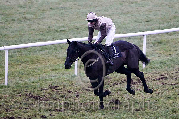 Rathmoyle House 7th, Jockey Mr M J O'Hare - CU2D2191-e