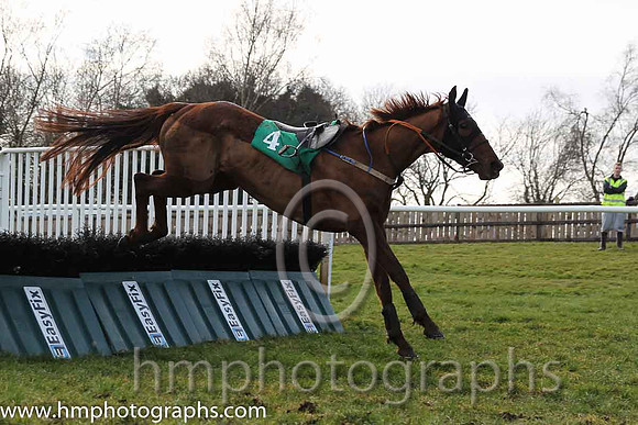 Race 3 F - Rufino (IRE) (4 ) Jockey: M P Fogarty - Trainer: P J Rothwell - red, light blue stars