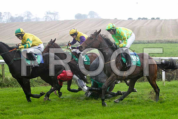 P T Enright falls amongst Warrants a Name, Open Up Your Heart & Tulla Emerald -  FT8E5214-e