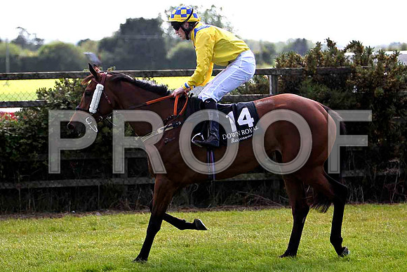 Vignelaure Rose 7th, Jockey W J Lee - CU2D0337-e