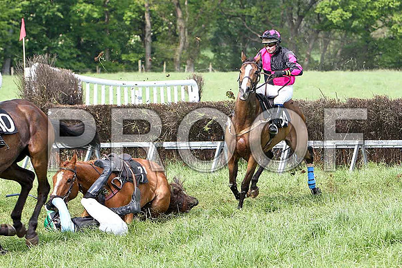 Fifth Race Div 2 - Chestnut Power (17) Fell, Rider J C Barry & Muireads Girl (34) 5th, Rider J J Gault - CU2D9690-e