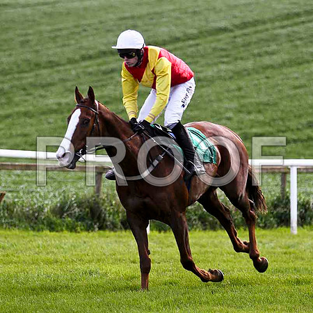Bachelor Lad , Winner , Jockey Andrew J McNamara - FT8E2882-e2
