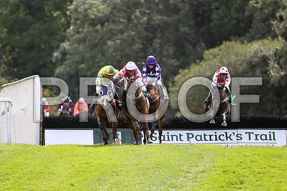 Almanyan, winner , Foreigner 2nd, City Hustler 3rd & Breeze with Ease 4th - CU2D1675-e
