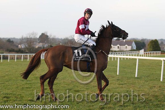 03 Is Love Alive & M P Fogarty - 3rd (11, maroon, white star and armlet ) - FT8E1800-28