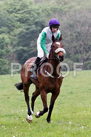 Feather Hill , PU, Jockey M J O'Hare - FT8E2690-e