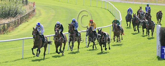 In Race 1 seven horses were brought down at the first fence by a faller. King Kal the eventual winner of the race is in second place ridden by Brian Hayes.