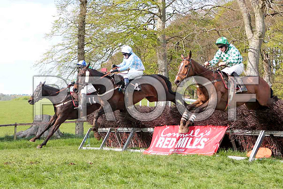 Miss Miyagi (11) , Winner, Jockey - J J Codd - CU2D4676-e
