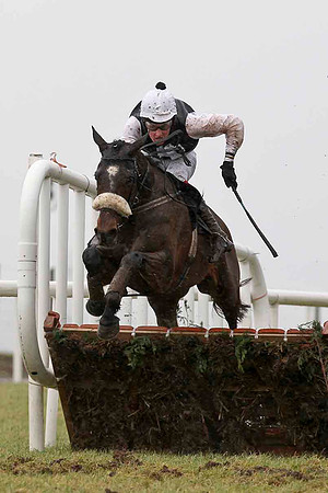 Kellystown Jack 4th, Jockey B Browne - CU2D3227-e