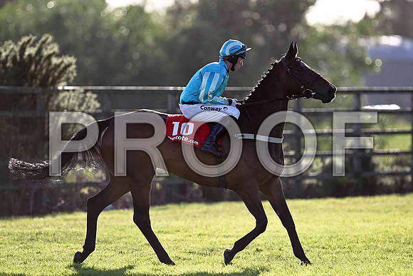 Mon Oiseau 4th, Jockey A E Lynch - FT8E1059-e