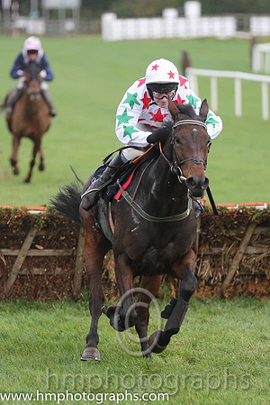 02 Carrigmoorna Rock and DJ Casey - - 02nd (2 ,white, red stars ) Trainer - R Tyner