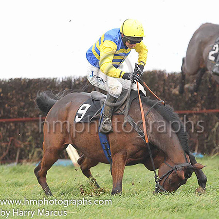 SHIPWRECK and N McParlan ( 9 , ROYAL BLUE  YELLOW HOOPS; yellow sleeves; yellow cap ) Trainer: C.A. McBratney , Owner : Templeburn Racing Syndicate
