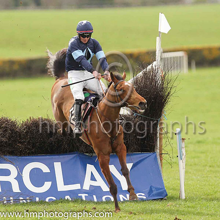 01st SHECOULDBEANYTHING and D G Lavery ( 12 , NAVY,light blue star; navy sleeves,light blue armlet; navy cap,light blue star ) Trainer: Patrick Eugene Turley,, Owner : Declan Lavery