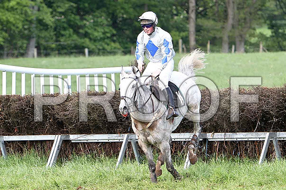 Race 6 Div 1 - Grand Cherokee (11) 6th, Rider P J Cosgroce - CU2D9780-e