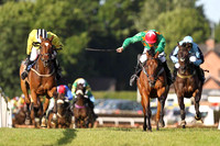 So Determined (yellow) 2nd, King High (green ) Winner & Doransfirth 3rd - FT8E1033-e