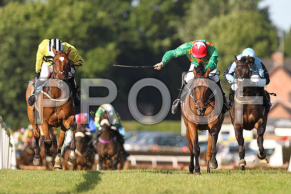 So Determined (yellow) 2nd, King High (green ) Winner & Doransfirth 3rd - FT8E1033-e