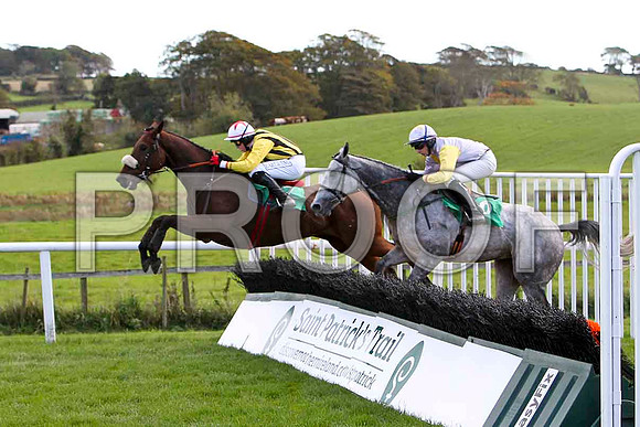 Nally Dancer , Jockey K M Donoghue - 10th & Ma Ani , Jockey D J Bates - 8th - CU2D9193-e