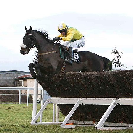 Dont Tell De Purty 11th, Jockey N J O'Shea - FT8E9986-e