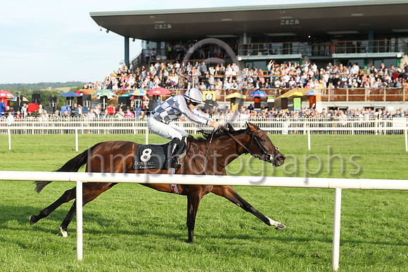 01st Perotan (8 , grey and white check ) Jockey: W M Lordan , Trainer: A P O'Brien