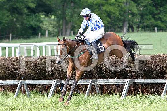 Fifth Race Div 2 - Connie de Mar (5) 3rd, Rider B G Crawford - CU2D9729-e