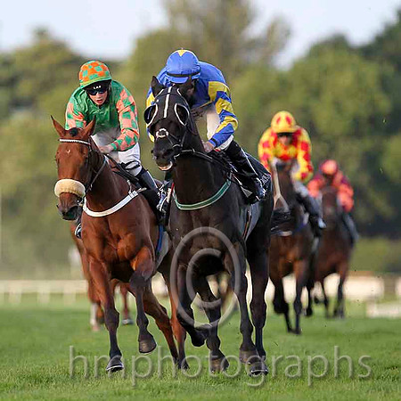 Kalacan & D P McDonagh - 3rd (7, royal blue, yellow hoop) - CU2D3442-e