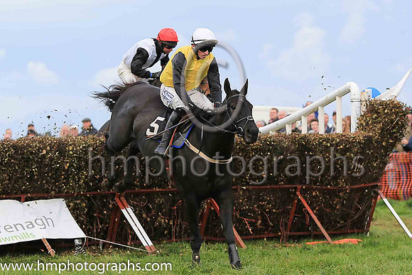 NETTLEBUSH and D G Lavery ( 5 , YELLOW; black sleeves; white cap ) Trainer: Rodney Ian Arthur,, Owner : Houston N.  A.