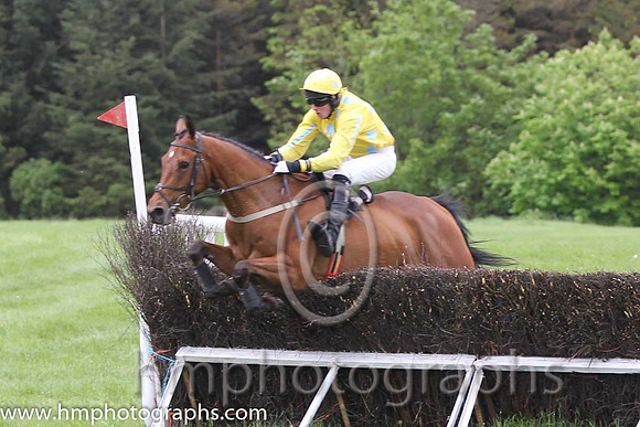 04 Super Scorpion & M J Lynch - 4th (17, yellow, blue spots) -  FT8E6677-47