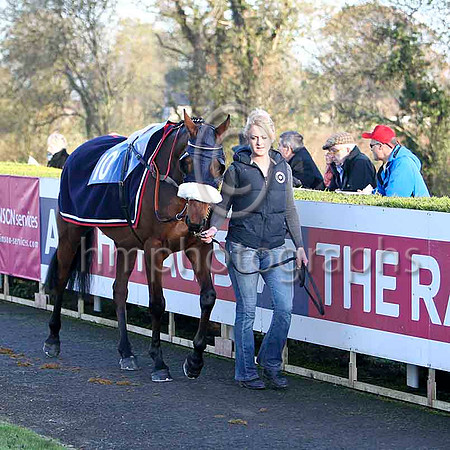 Knocklayde Euro - Fell , Jockey E J O'Connell - FT8E7156-e