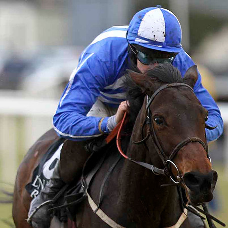 Bearsgrove - 10th - Jockey K T Coleman - CU2D3196-e