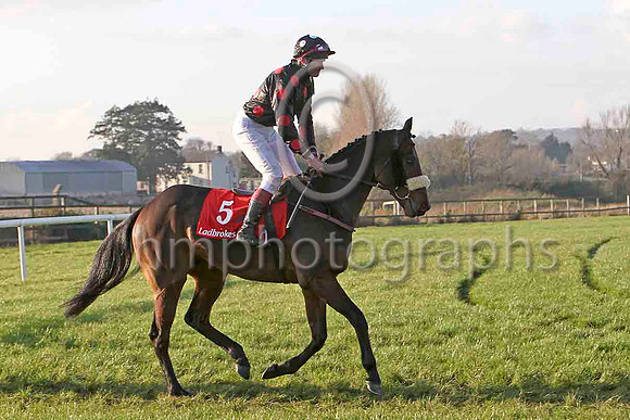Imperial Shabra , 5th - Jockey J L Cullen - FT8E7039-e