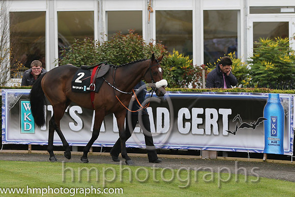 07 Tiger Roll and B J Cooper - PU - 07th (2 ,maroon white star ) Trainer - G Elliott