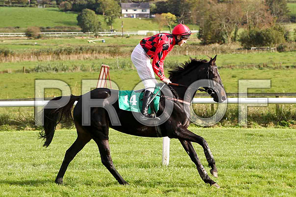 Take the Floor , Jockey E F Power - 7th - FT8E4424-e