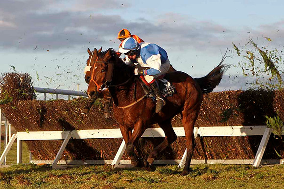 Rossbeigh 6th, Jockey P F Mangan - CU2D3273-e