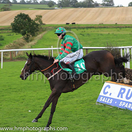 01st Show And Go and D J Mullins ( 10 , emerald green, red disc ) Trainer - H de Bromhead , Owner - John J Phelan