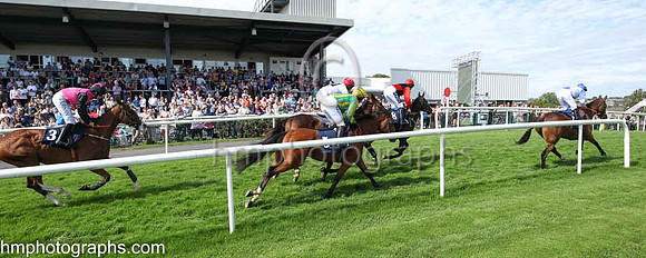 01st Typical Thomas (9 , blue, white diabolo ) Jockey: Peter Smithers7 , Trainer: James Andrew Fahey